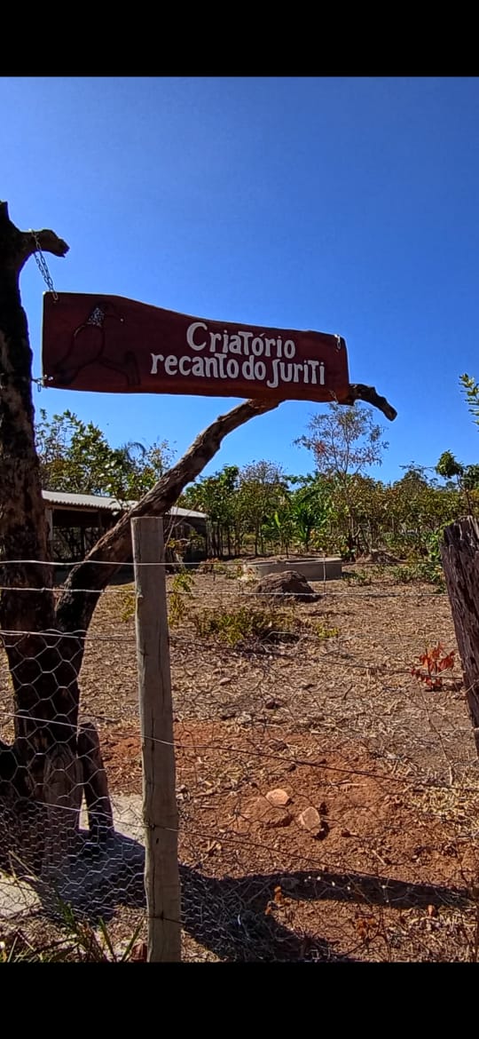 Placa entalhada em madeira do Criatório Recanto do Juriti